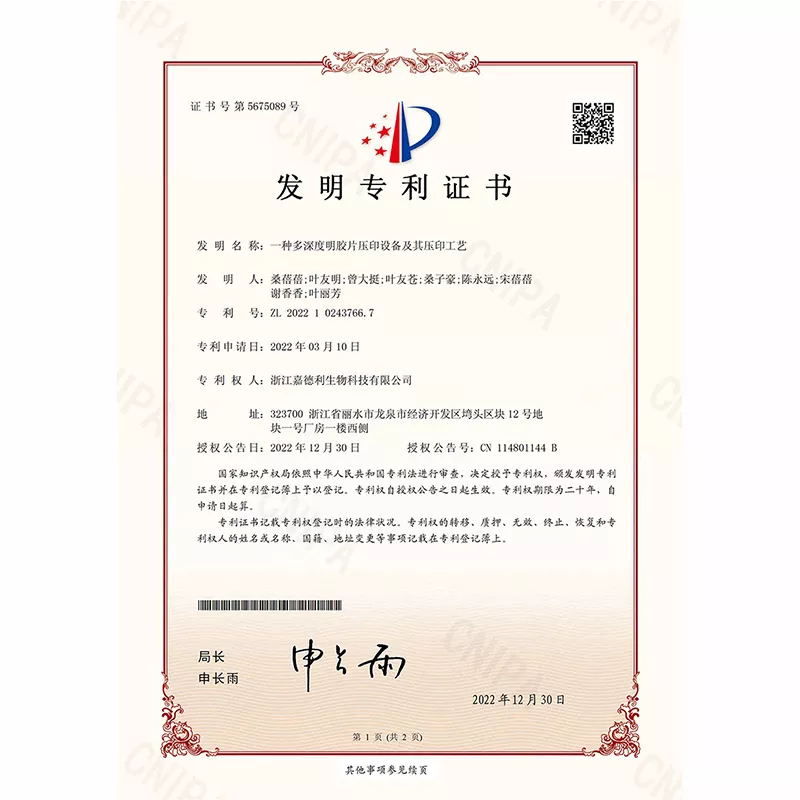 一种多深度明胶片压印设备及其压印工艺发明专利证书